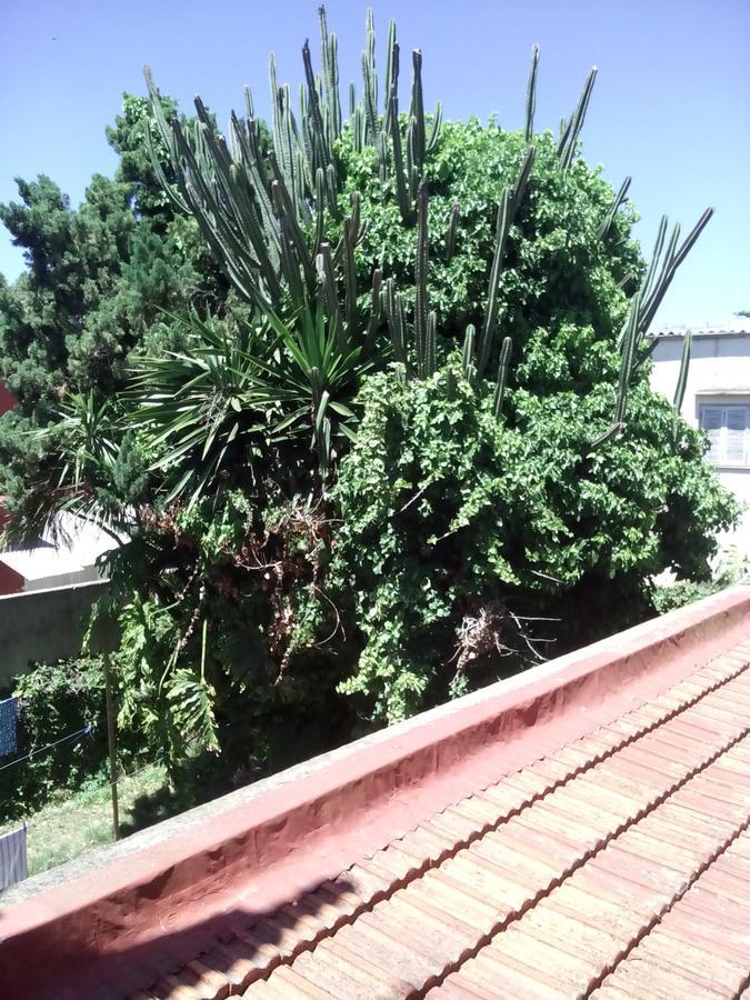 Hosteria Almirante Brown Mar del Plata Exteriér fotografie